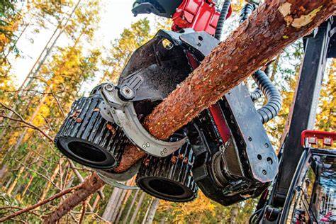 A man inspecting the technical condition of a harvester head in the forest.