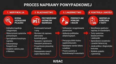 Infografika przedstawiająca etapy głosowania w plebiscycie