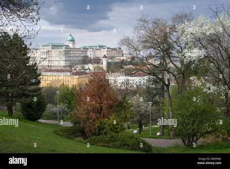 Photo of the Korabniki Palace or its park with the 