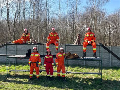 Szkolenie psów ratowniczych w OSP Marki
