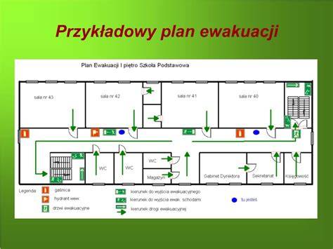 Specjalista ochrony przeciwpożarowej analizujący plany bezpieczeństwa