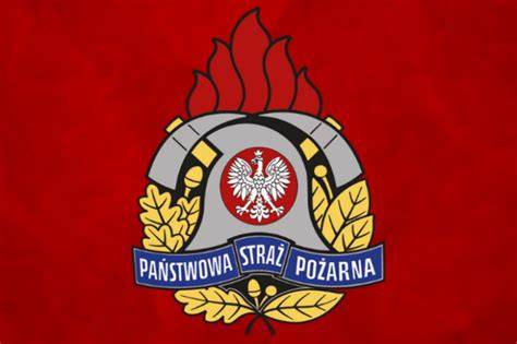 infografika przedstawiająca hierarchię stopni w Państwowej Straży Pożarnej z nazwami i oznakami