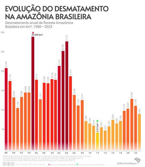 Infografika przedstawiająca rolę Amazonii w globalnym obiegu węgla i produkcji tlenu