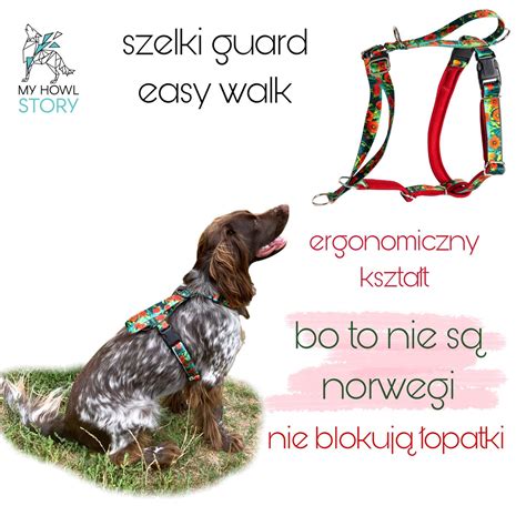 Zdjęcie porównujące różne modele szelek dostępnych w sklepie