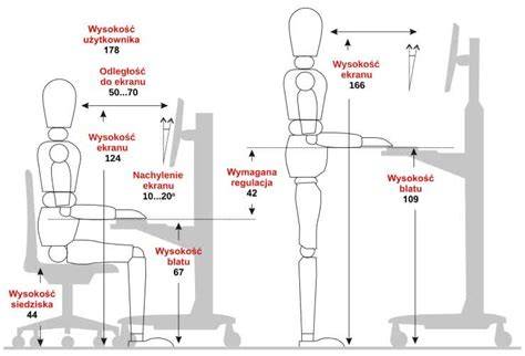 Infografika przedstawiająca wymiary maskotki w pozycji siedzącej i stojącej
