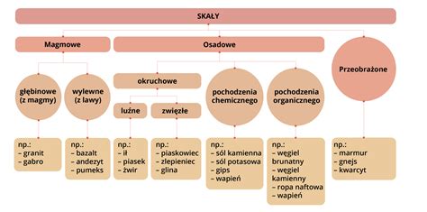schemat pokazujący podział godzin na teorię (e-learning/stacjonarnie) oraz praktykę na placu ćwiczeń