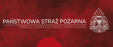Złota korpusówka Państwowej Straży Pożarnej ze symbolem płomienia i wieńcem