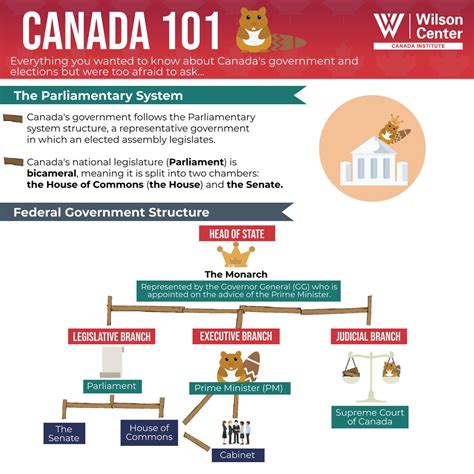 Infographic showing the structure of OSP authorities