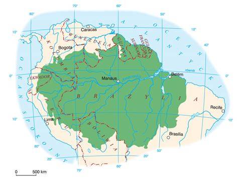 Mapa lub infografika przedstawiająca obszary dotknięte pożarami w Amazonii w 2020 roku