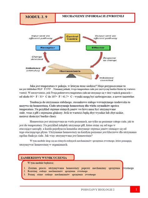 Infografika przedstawiająca cykl sprzężenia zwrotnego między pożarami a zmianami klimatu
