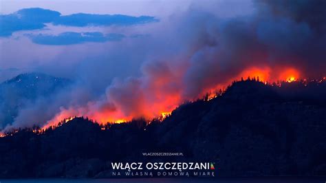 zdjęcie pożaru lasu w Grecji