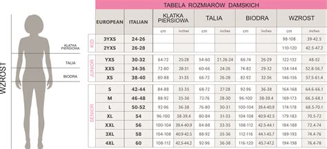 Przykładowa tabela rozmiarów z wymiarami ciała (wzrost, klatka, pas)