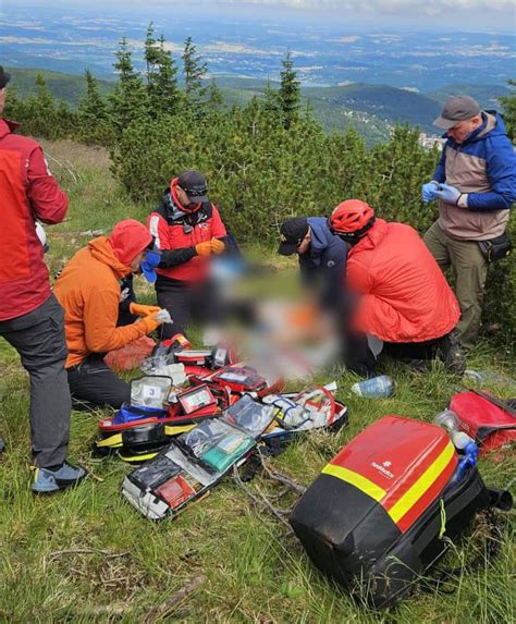 Akcja ratunkowa w zawalonej hali MTK, ratownicy i psy poszukiwawcze