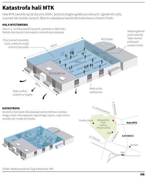 Infografika przedstawiająca schemat wad konstrukcyjnych dachu hali MTK