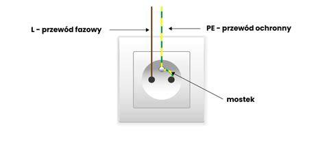 Schemat budowy gniazda remiza w kształcie worka z bocznym korytarzem