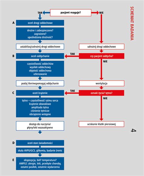 Schemat przedstawiający proces dokumentowania wyników badań hydrantów