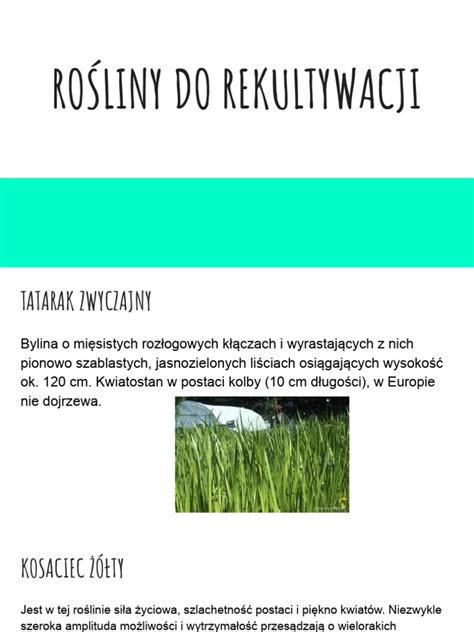 Infografika przedstawiająca etapy rekultywacji wysypiska