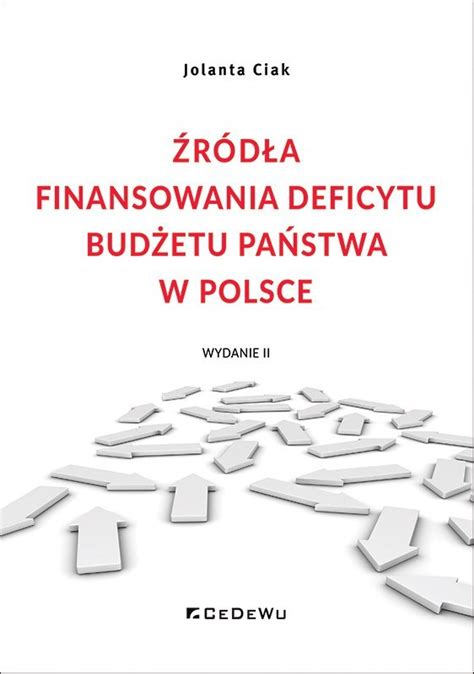 infografika przedstawiająca główne źródła finansowania OSP: budżet państwa, fundusze ochrony środowiska, fundusze unijne, samorządy oraz sektor prywatny