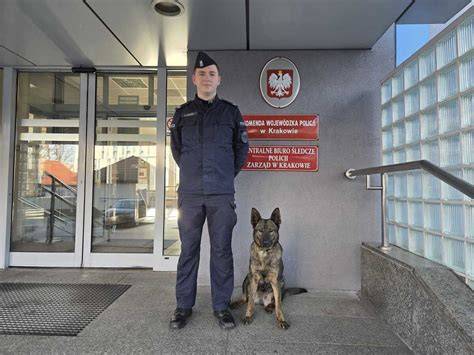 Pies służbowy policji na miejscu zgliszcz