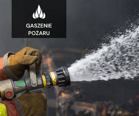 Strażacy-ratownicy podczas ćwiczeń z obsługi sprzętu gaśniczego na statku