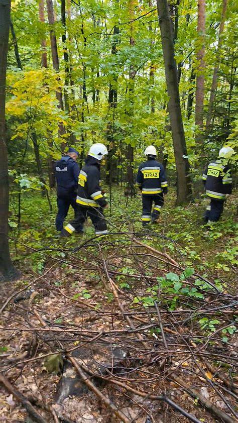 strażacy z wozem bojowym w terenie leśnym, prowadzący działania gaśnicze