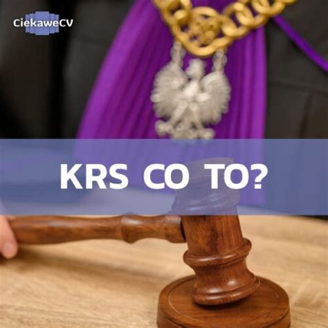 Infografika przedstawiająca, jakie dane zawiera wpis do KRS dla organizacji pozarządowej.