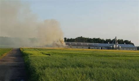 Zdjęcie płonącej chlewni w Nowoberezowie z widocznymi kłębami dymu