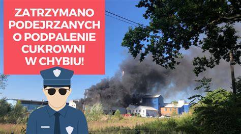 Infografika: Zatrzymani podejrzani o podpalenie w powiecie kłodzkim