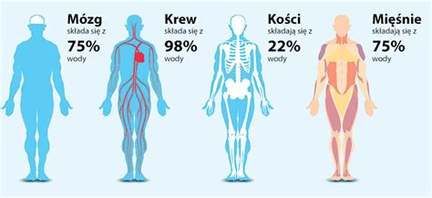 Infografika: skład dymu pożarowego, jego temperatura i wpływ na organizm człowieka