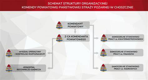 Schemat hierarchicznej struktury Państwowej Straży Pożarnej