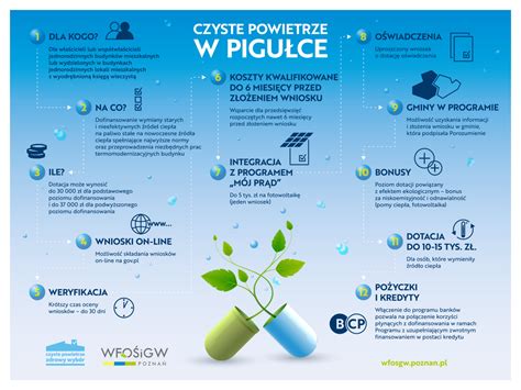 infografika na temat programu 