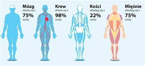 infografika przedstawiająca skład dymu oraz jego wpływ na organizm człowieka