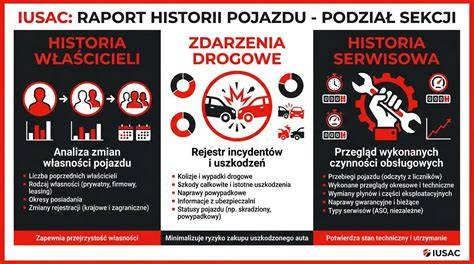 Infografika przedstawiająca strukturę samokopiującego druku raportu z akcji ratowniczo-gaśniczej.