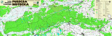 mapa Puszczy Noteckiej z zaznaczonym obszarem dotkniętym pożarem