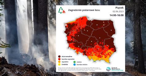 Infografika przedstawiająca zestawienie powierzchni objętych pożarami w różnych latach.