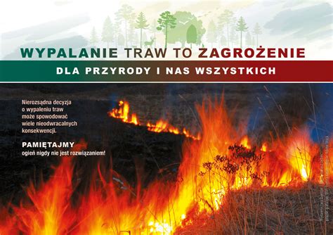 infografika przedstawiająca konsekwencje wypalania traw (środowiskowe, prawne, bezpieczeństwa)