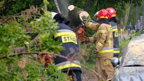 Zdjęcie przedstawiające powalone drzewa po burzy i strażaków usuwających zniszczenia.