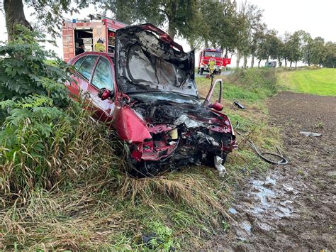 samochód osobowy KIA po uderzeniu w drzewo