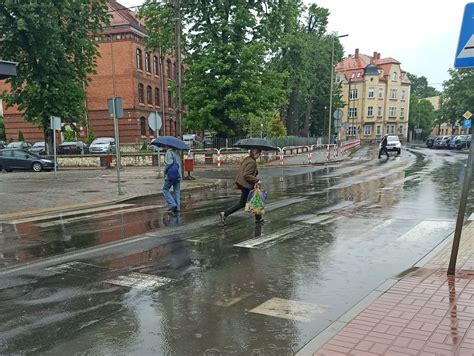 zdjęcie ogrodu z kałużami po deszczu na gliniastym podłożu