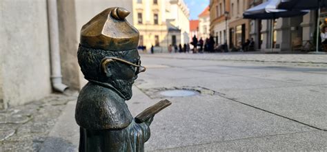 Zdjęcie spalonej pasieki we Wrocławiu, z widocznymi zniszczonymi ulami i śladami po pożarze.