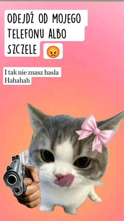 Infografika z zabawnymi memami naukowymi lub rysunkiem kota w kasku strażackim