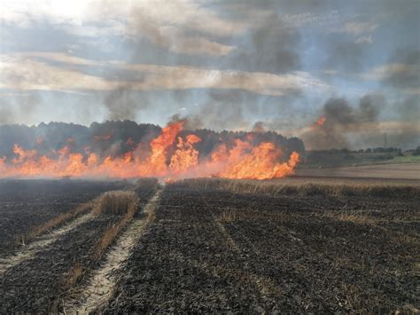 zdjęcie z pożaru suszarni zboża, ukazujące zadymienie i płomienie