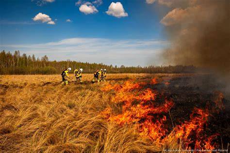 Strażacy gaszący pożar pól, widoczne dym i rolnicy pomagający traktorami