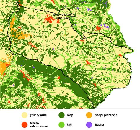 Mapa przedstawiająca lokalizację lasu pomiędzy Dobrzejowem a Miłogostowicami