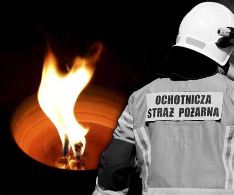 strażacy OSP w akcji usuwania gniazda szerszeni