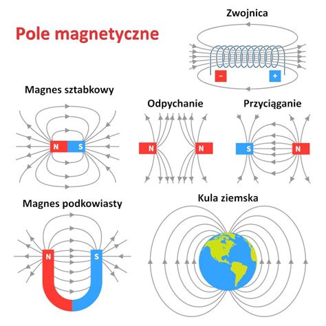 Schemat przedstawiający sposób działania labiryntu magnetycznego z podziałem na grupy liczbowe zwierząt