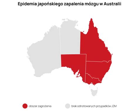 Mapa przedstawiająca obszary objęte pożarami w Australii z zaznaczeniem najbardziej dotkniętych stanów, takich jak Nowa Południowa Walia i Wiktoria.