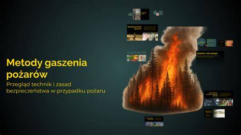 Historyczna ilustracja przedstawiająca starożytne metody gaszenia pożarów