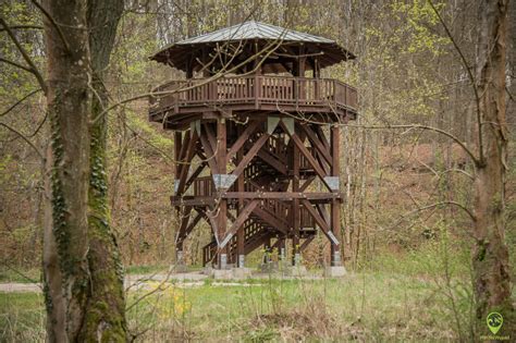 panoramiczne zdjęcie Drawieńskiego Parku Narodowego z rzeką i lasami