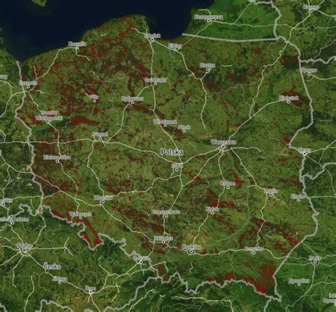 Mapa obszarów objętych pożarami lasów w Rosji i trasa przejazdu polskich strażaków